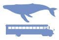 size-humpbackwhale